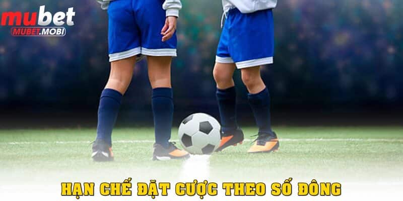 Cược theo số đông không phải lối chơi hay