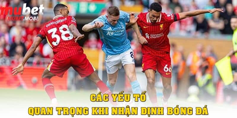 Nhận định bóng đá – Bí quyết thắng lớn trong cá cược thể thao 3 Các yếu tố quan trọng cần biết khi nhận định bóng đá