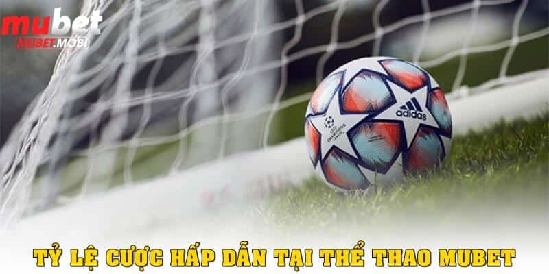 Tỷ lệ cược và kèo hấp dẫn tại thể thao Mubet