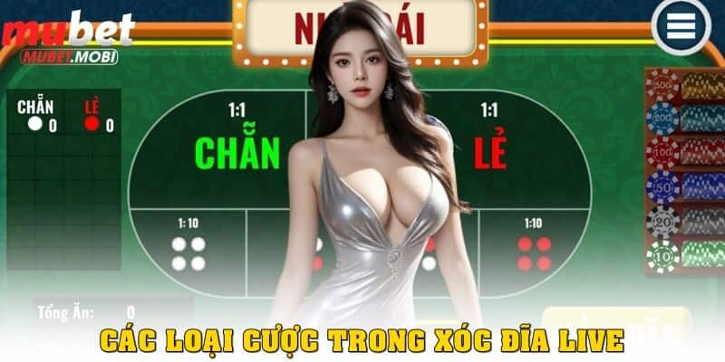 Xóc Đĩa Live – Trải nghiệm cá cược hấp dẫn cùng Mubet 3 Các loại cược hay xuất hiện trong Xóc Đĩa Live