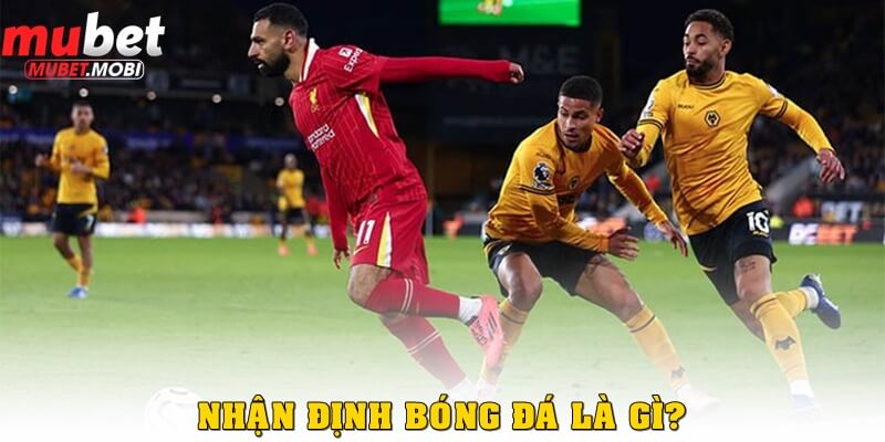 Nhận định bóng đá – Bí quyết thắng lớn trong cá cược thể thao 1 Nhận định bóng đá là gì?