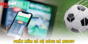 phan mem ca do bong da thumb