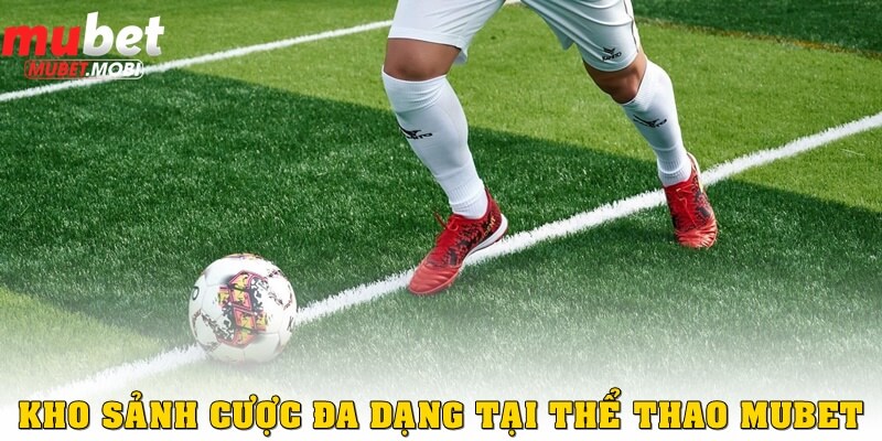 Kho sảnh cược đa dạng tại thể thao Mubet